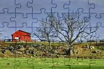 MARSU jigsaw puzzle
