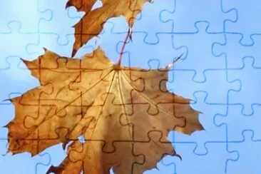 MARSU jigsaw puzzle
