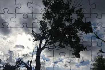 MARSU jigsaw puzzle