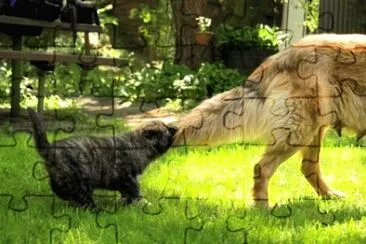 MARSU jigsaw puzzle