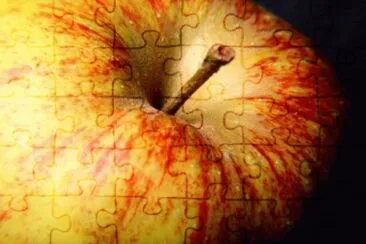 MARSU jigsaw puzzle