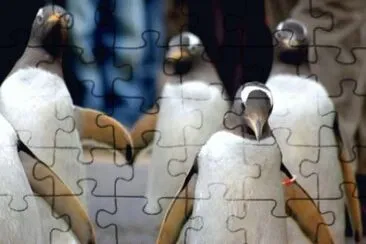 MARSU jigsaw puzzle