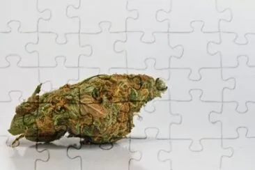 MARSU jigsaw puzzle