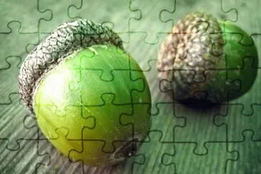 MARSU jigsaw puzzle