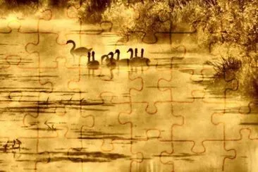 MARSU jigsaw puzzle