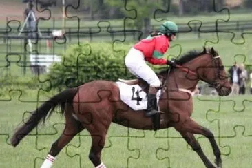 MARSU jigsaw puzzle