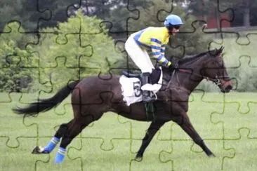 MARSU jigsaw puzzle