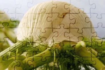  jigsaw puzzle
