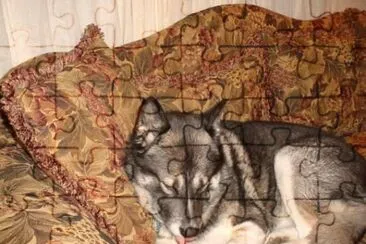 MARSU jigsaw puzzle