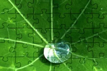MARSU jigsaw puzzle
