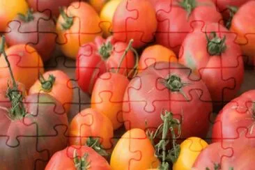 tomates jigsaw puzzle