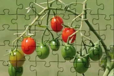  jigsaw puzzle