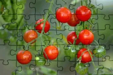  jigsaw puzzle
