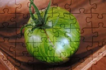 tomates