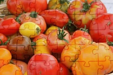 tomates