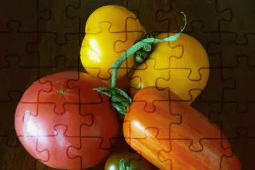 tomates
