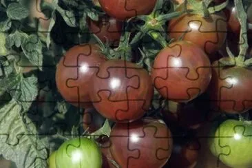 tomates jigsaw puzzle