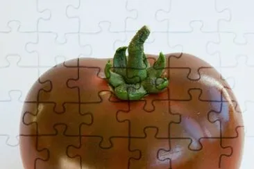פאזל של tomates