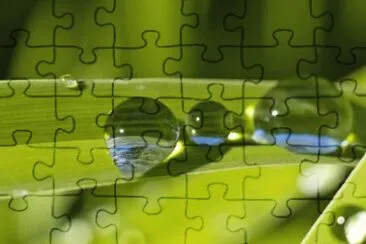 MARSU jigsaw puzzle