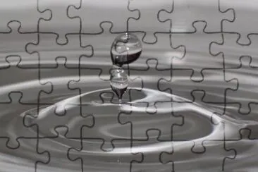 MARSU jigsaw puzzle
