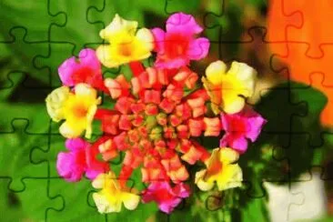 Exotic Flower jigsaw puzzle
