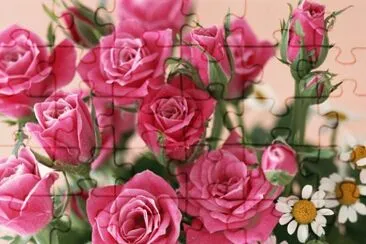 Rosas e margaridas jigsaw puzzle