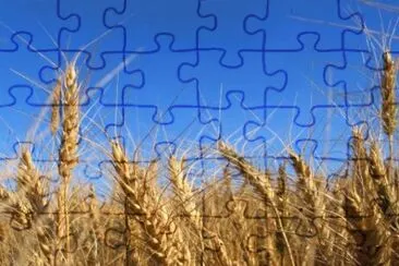 MARSU jigsaw puzzle