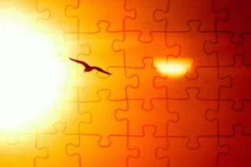 MARSU jigsaw puzzle