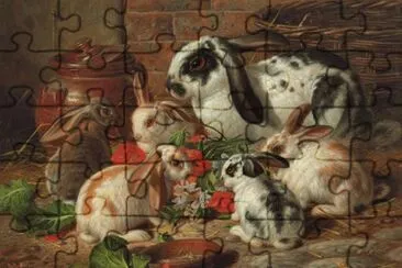 animais