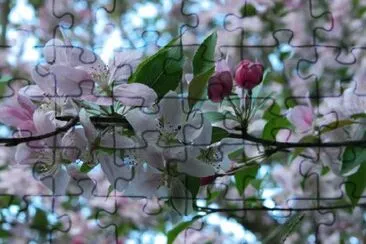  jigsaw puzzle