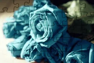  jigsaw puzzle