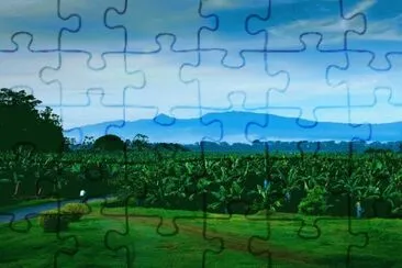 flor del desierto jigsaw puzzle