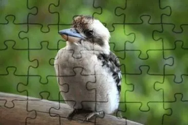 MARSU jigsaw puzzle