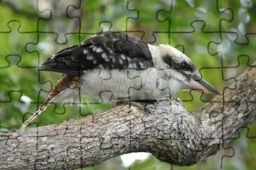 MARSU jigsaw puzzle