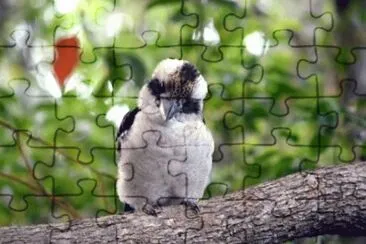 MARSU jigsaw puzzle