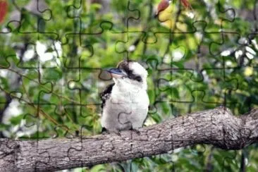 MARSU jigsaw puzzle