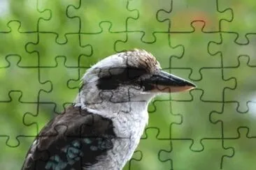 MARSU jigsaw puzzle