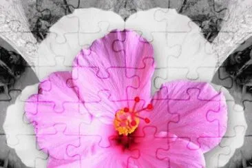  jigsaw puzzle