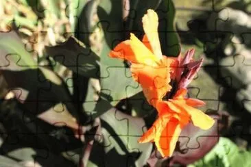 MARSU jigsaw puzzle