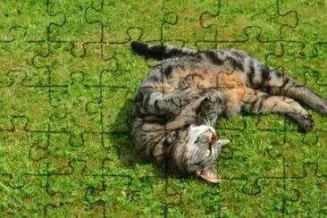 MARSU jigsaw puzzle