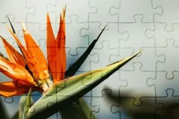 MARSU jigsaw puzzle