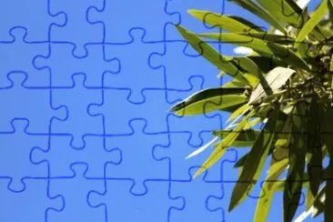 MARSU jigsaw puzzle