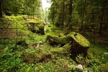 MARSU jigsaw puzzle