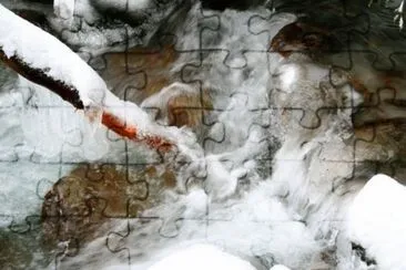 MARSU jigsaw puzzle