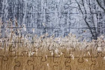 MARSU jigsaw puzzle