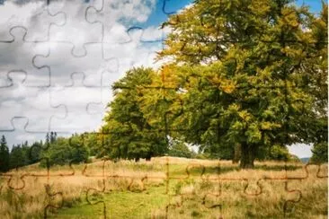 MARSU jigsaw puzzle