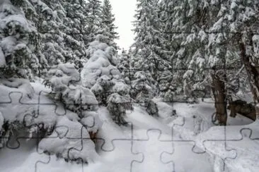 MARSU jigsaw puzzle