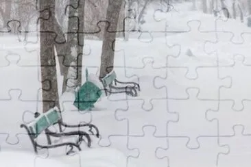 MARSU jigsaw puzzle