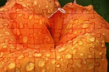 MARSU jigsaw puzzle