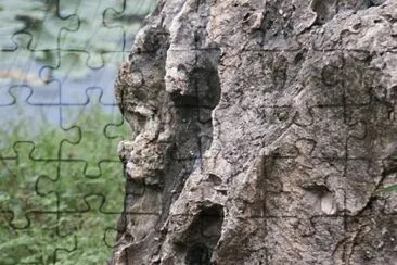 MARSU jigsaw puzzle
